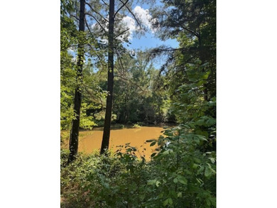 If you're looking for the perfect small recreational property - photo 8