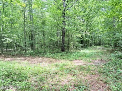 This 164.19 surveyed-acre property on Potluck Road in Canton - photo 10