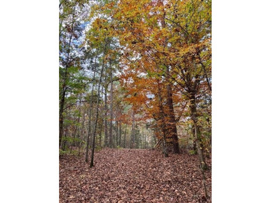 If you're looking for the perfect small recreational property - photo 10