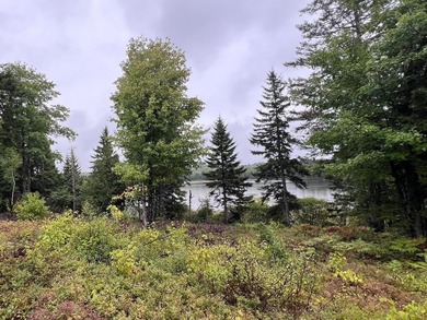 4 +/- acres with 200' shorefront on Western Lake. Nice private - photo 3