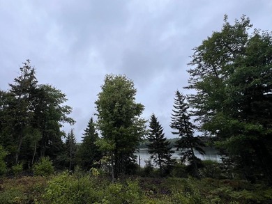 4 +/- acres with 200' shorefront on Western Lake. Nice private - photo 4