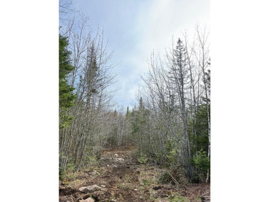 4 +/- acres with 200' shorefront on Western Lake. Nice private - photo 5