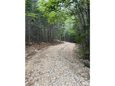 4 +/- acres with 200' shorefront on Western Lake. Nice private - photo 8