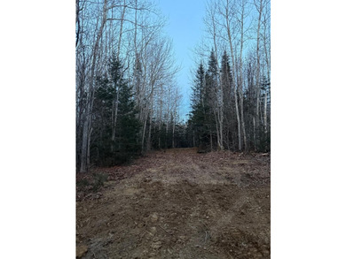 4 +/- acres with 200' shorefront on Western Lake. Nice private - photo 9