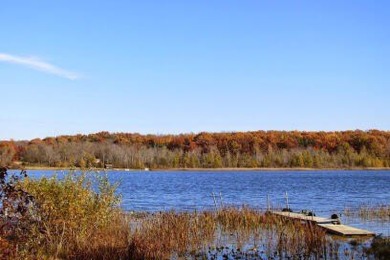 Bankers Lake Acreage Sale Pending in Hillsdale Michigan