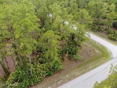 Lehigh Acres Area Lot For Sale in Alva Florida