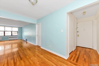 East Flatbush: This Co-Op Apartment Unit Has All The Space You - photo 3