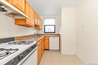 East Flatbush: This Co-Op Apartment Unit Has All The Space You - photo 10