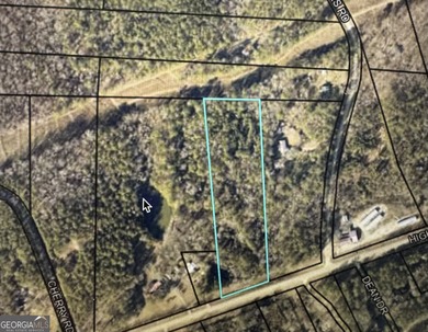 West Point Lake Acreage For Sale in Franklin Georgia