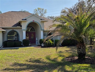 Vacant -Exceptional Find in Sugarmill Woods! Newly Reduced - photo 1