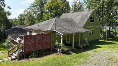 Lake Home For Sale in Equinunk, Pennsylvania