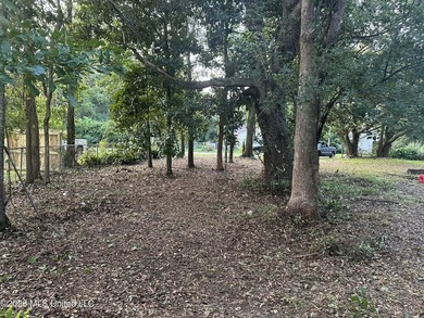 Build Your Dream Home in Long Beach, MS! 815 N Wright Ave, Long - photo 2
