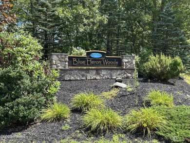 (private lake, pond, creek) Acreage For Sale in Hawley Pennsylvania