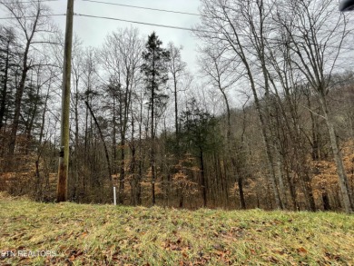 Powell River Acreage For Sale in Sharps Chapel Tennessee