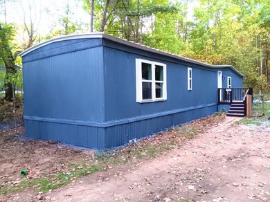 Diamond Lake - Newaygo County Home Sale Pending in White Cloud Michigan