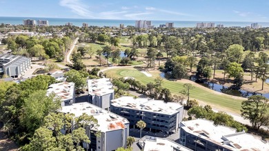 Coastal Comfort, Golf Cart Friendly, and Just Minutes from the - photo 33