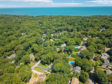 Impeccably maintained and completely updated, this pristine - photo 28