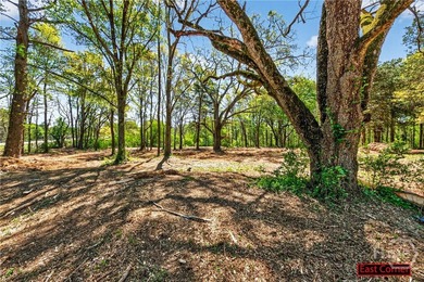 Don't miss this opportunity to own 2 beautiful acres in - photo 1