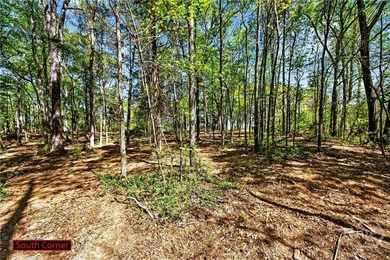 Don't miss this opportunity to own 2 beautiful acres in - photo 10