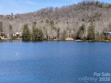 Lake Wanteska Home For Sale in Brevard North Carolina