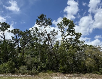 Lake Lot For Sale in Spring Hill, Florida