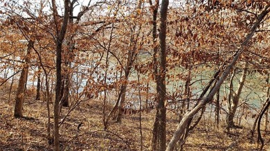 Amazing Home Site--3 adjacent lots combined--Approx 2 acres - photo 7