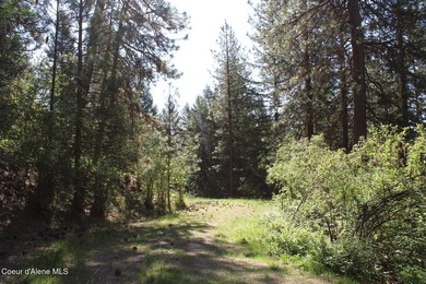 Enjoy the big mountain views and end of the road quiet privacy - photo 22