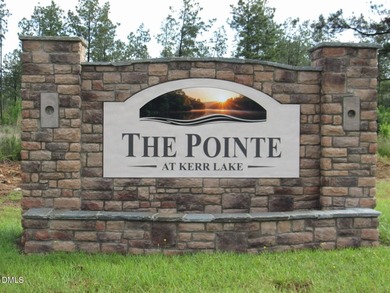 Discover 'The Pointe at Kerr Lake'. An exclusive pool community - photo 2