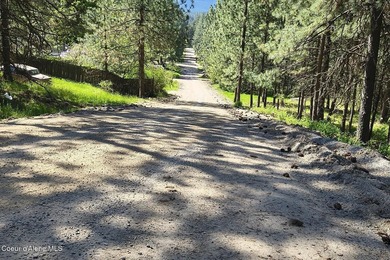 Enjoy the big mountain views and end of the road quiet privacy - photo 31