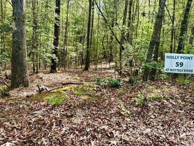 Nottley River Acreage For Sale in Murphy North Carolina