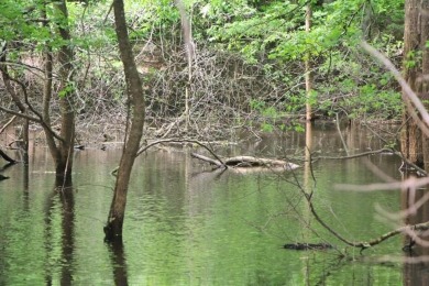 Lake Acreage For Sale in Lucas, Kentucky