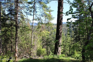 Enjoy the big mountain views and end of the road quiet privacy - photo 47