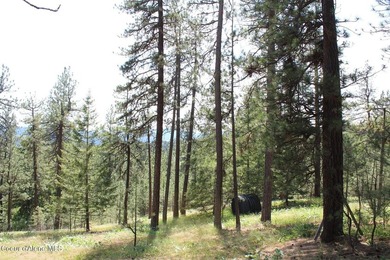 Enjoy the big mountain views and end of the road quiet privacy - photo 50