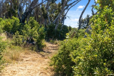 Escape to the beauty of the Santa Cruz Mountains with this - photo 6