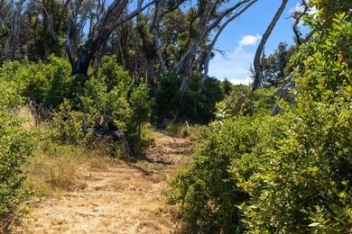 Escape to the beauty of the Santa Cruz Mountains with this - photo 7