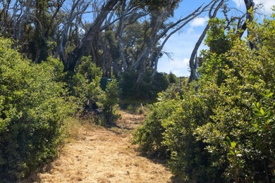Escape to the beauty of the Santa Cruz Mountains with this - photo 8