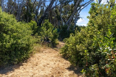 Escape to the beauty of the Santa Cruz Mountains with this - photo 9