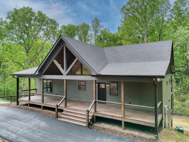 Lake Home For Sale in Hiawassee, Georgia