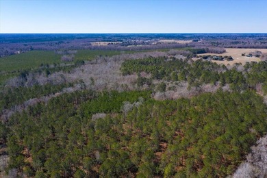 107.46 acres of vacant land. ~4,000 ft road frontage. Close to - photo 11