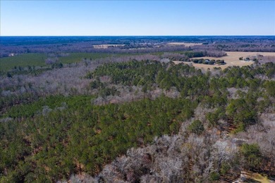 107.46 acres of vacant land. ~4,000 ft road frontage. Close to - photo 12