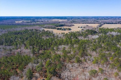 107.46 acres of vacant land. ~4,000 ft road frontage. Close to - photo 13