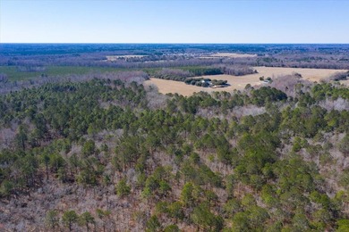 107.46 acres of vacant land. ~4,000 ft road frontage. Close to - photo 14
