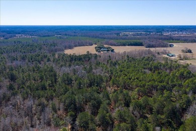 107.46 acres of vacant land. ~4,000 ft road frontage. Close to - photo 16