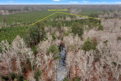 107.46 acres of vacant land. ~4,000 ft road frontage. Close to - photo 23