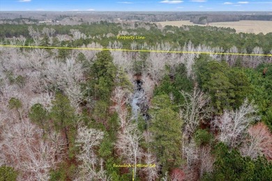 107.46 acres of vacant land. ~4,000 ft road frontage. Close to - photo 24