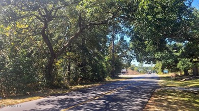 ''Central park'' Subdivision Lots 1-19 with 475' frontage on - photo 4
