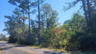 ''Central park'' Subdivision Lots 1-19 with 475' frontage on - photo 5