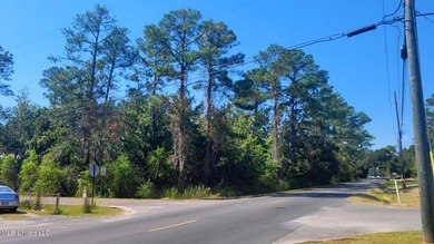 ''Central park'' Subdivision Lots 1-19 with 475' frontage on - photo 7