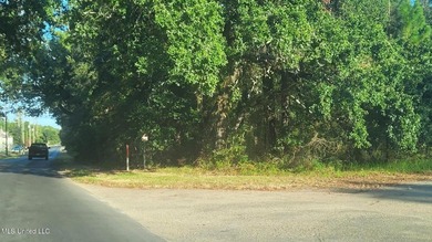''Central park'' Subdivision Lots 1-19 with 475' frontage on - photo 9