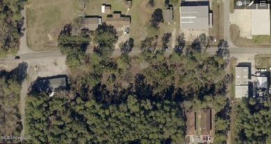''Central park'' Subdivision Lots 1-19 with 475' frontage on - photo 10